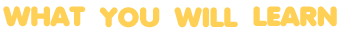 What You Will Learn logo